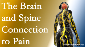 Young Chiropractic shares at the connection between the brain and spine in back pain patients to better help them find pain relief.