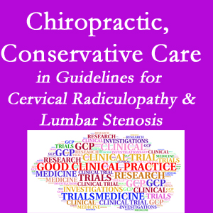 Easley chiropractic care for cervical radiculopathy and lumbar spinal stenosis is often ignored in medical studies and recommendations despite documented benefits. 